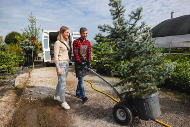 Best Affordable Tree Service  in Marlinton, WV